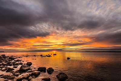  Bob McGauley photo
