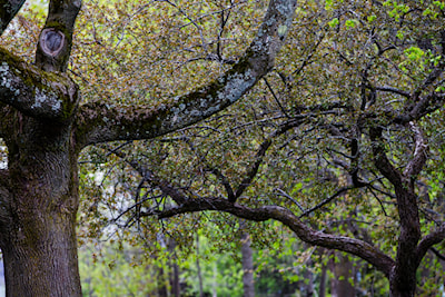 ©Donna Hopper Photography