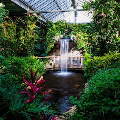 Cambridge Butterfly Conservatory