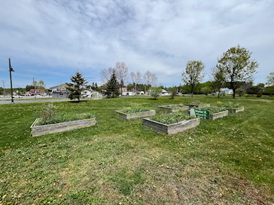 Community garden in Bruce Mines