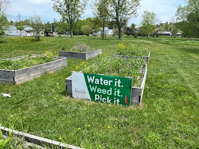 Essential steps for a community garden.