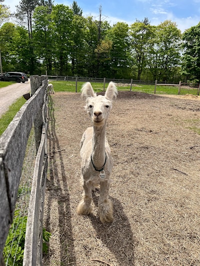 Hi, friend!