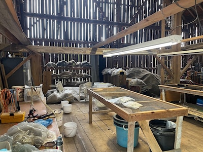 Look at all that raw alpaca fiber!