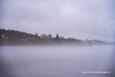 Looking East on Ramsey Lake.