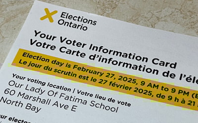 Political parties are partially responsible for low voter turnout.