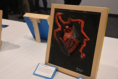 'Rupture,' created by Issyie DeWilde