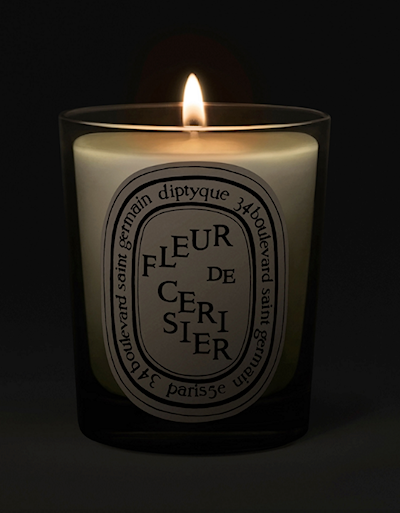 The Power of Scent