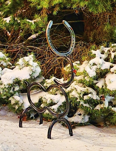 Horseshoe decor