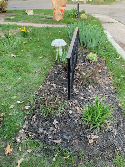 Small garden bed