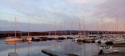 The sailboats are in the Harbour!