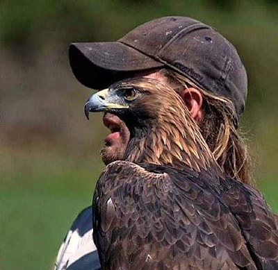 Golden Eagle