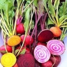 Heirloom Beets 