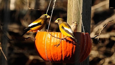 I liked these three amigos regulars.