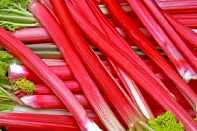 So many great recipes for rhubarb and this is one of them.