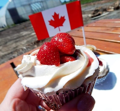 You will never be sad holding a cup cake.