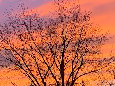 Crimson Sky over North East Oakville.