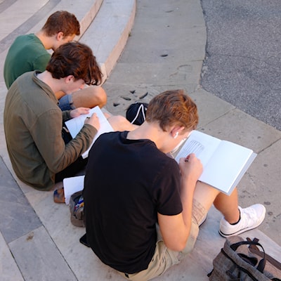 Art / Architecture students