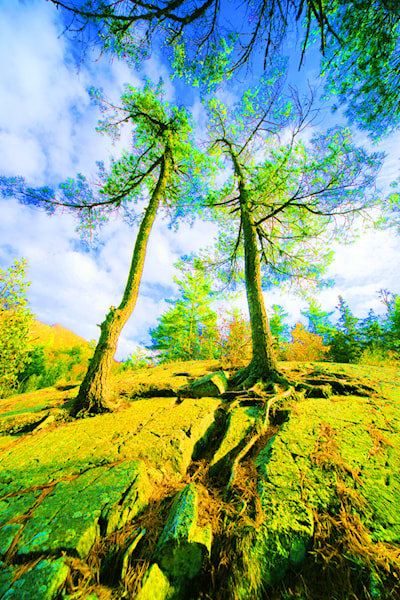 I preferred infrared film to Photoshop, but with a new digital camera, what could I do ?!?!