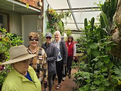 A stroll through the greenhouse after a walk.