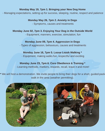 Meet The Trainer