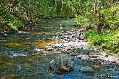 Stokely Creek