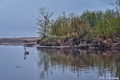 Before Dawn at the Mouth of the Stokely Creek - Photo 4 of 4