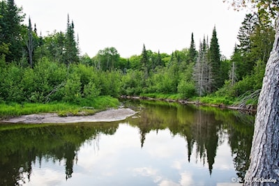 Stokely Creek