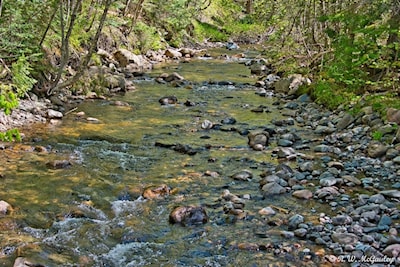 Stokely Creek
