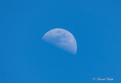 Daylight moon