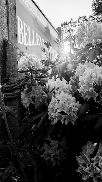 B&W