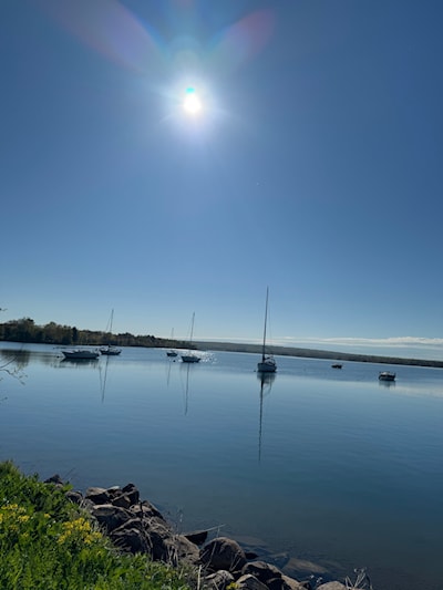 Bellevue Marina